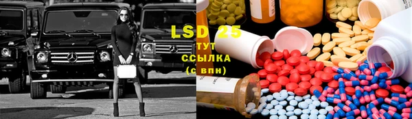 индика Покачи