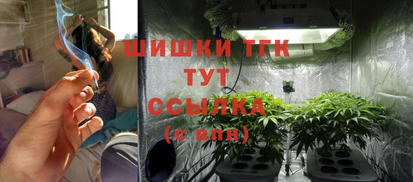 индика Покачи