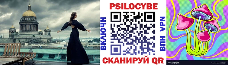 цена наркотик  Пущино  Галлюциногенные грибы Psilocybe 